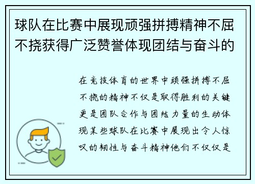球队在比赛中展现顽强拼搏精神不屈不挠获得广泛赞誉体现团结与奋斗的力量 球队在比赛中展现顽强拼搏精神不屈不挠获得广泛赞誉体现团结与奋斗的力量
