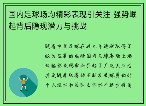 国内足球场均精彩表现引关注 强势崛起背后隐现潜力与挑战 国内足球场均精彩表现引关注 强势崛起背后隐现潜力与挑战